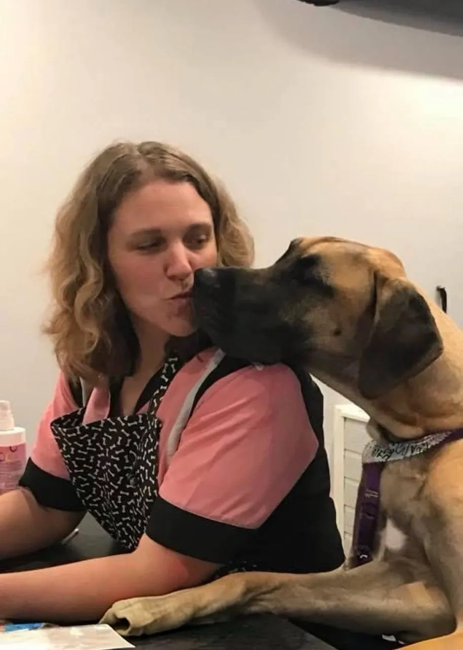 Fresh clean dog groom Fox Valley WI